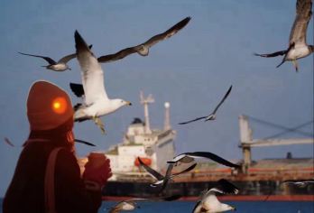 【8人小团】上门接送 火炬八街＋旅拍人员全天跟拍＋含拍摄道具【[度假优选]不早起，不赶行程；精游浪漫威海，留下威海日落 看天鹅赠送天鹅粮 沉船拍摄配备道具】