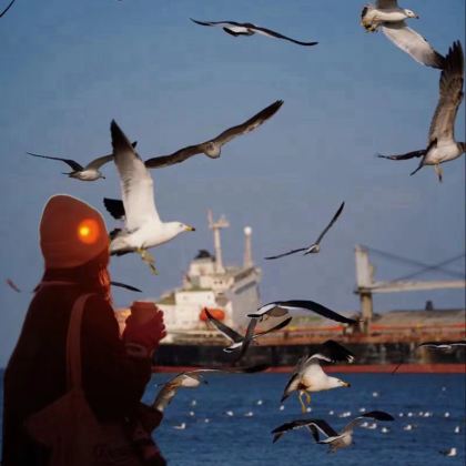 【8人小团】上门接送 火炬八街＋旅拍人员全天跟拍