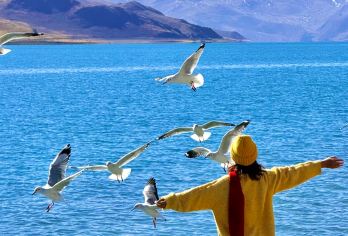 羊湖+普莫雍错一日游（2-4人拼小团+含氧气）【随车一瓶10L钢瓶氧气或1人1瓶3L钢瓶氧气】