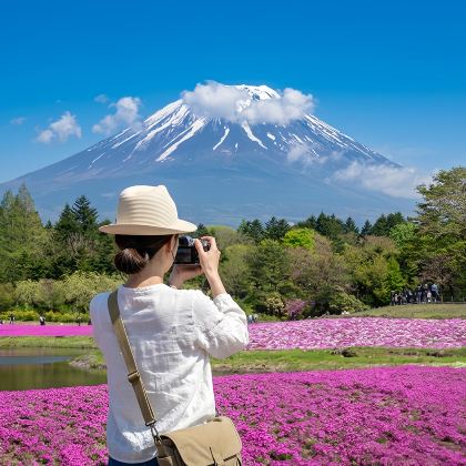 富士山芝樱祭限定：本栖湖+河口湖+山中湖+忍野八海小团一日游