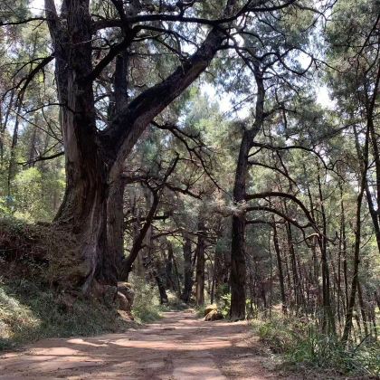 【玩转蜀道】金牛古道徒步一日游