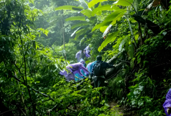 【6人小团】西双版纳基诺山玉林徒步一日游·雨林餐·射箭秋千【[精品纯玩]纯玩无购物，无任何隐形消费，沉浸式体验徒步的乐趣。】