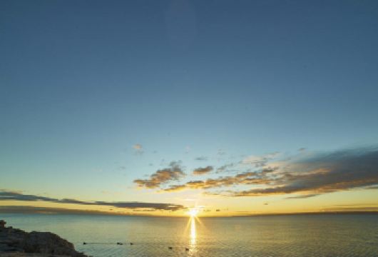 加拿大多伦多城市精华一日游【专属司导10H服务】【加拿大专业司导，可定多日，团建，商务出行，可全程私家定制（各类门票可以代订）详情请私客服發發】