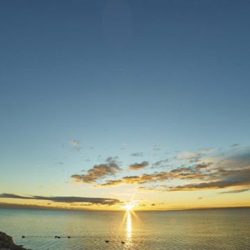 加拿大多伦多城市精华一日游【专属司导10H服务】