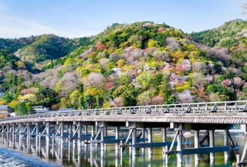 【大阪】奈良公园+东大寺+伏见稻荷大社+清水寺+花见小路一日【与奈良公园极富灵性的鹿群互动，亲身体验喂食乐趣】