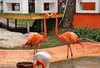 中国马尔代夫【蜈支洲岛一日游】【中国马尔代夫玻璃海；】