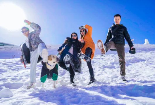 鹧鸪山一日游往返直通车【纯车位+冬季赏雪滑雪圣地】【[放心游玩]空调旅游大巴往返车位，桃坪羌寨欣赏少数民族特色建筑】