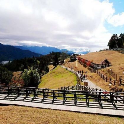 限时优惠：台湾南投‧清境农场+合欢山一日游【台中出发】