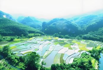 昌江(陶艺馆、渔港古镇、王下乡·黎花里、皇帝洞)一日游【体验千年黎族非遗制陶】