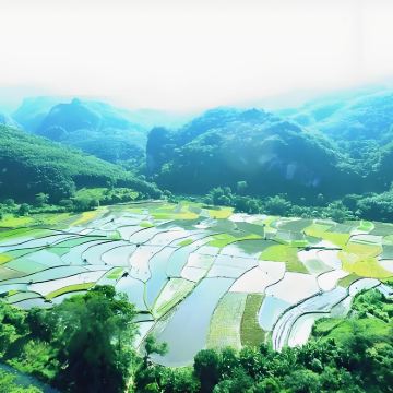 昌江(陶艺馆、渔港古镇、王下乡·黎花里、皇帝洞)一日游
