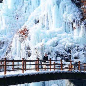 冬季限定｜首尔出发：鱼飞溪谷+南怡岛 +晨静树木园