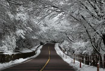 济州岛西南线C一日游丨门票全含丨汉拿山+追海豚丨6-14人团【济州岛网红打卡：汉拿山，海豚公路追海豚，橘子咖啡，柱状节理带，挟才海水浴场，涯月邑咖啡街】