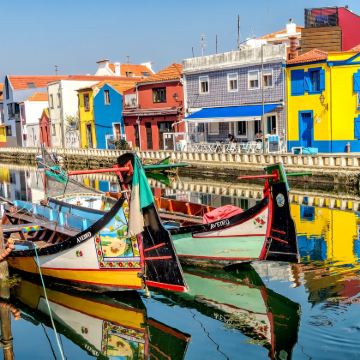 葡萄牙的科英布拉大学巴洛克式图书馆+阿威罗一日游