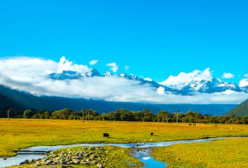 西藏林芝巴松措+新措深度一日游3-4人小团+结巴村+湖心岛【徒步、雪山、湖泊、森林 、湖心岛、结巴村】