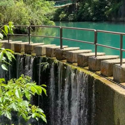 杭州桐庐富春江+大奇山森林公园+龙门古镇一日游-可英文服务