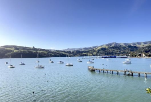 皇后镇至基督城：普卡基湖+库克山公园+特卡波湖【英文团】【享受库克山国家公园的一日游，徒步探索塔斯曼冰川】