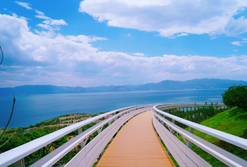 抚仙湖太阳山小镇+汐岸网红桥+化石博物馆+樱花谷一日私家团【畅玩澄江热门景点】