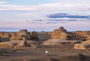 【雅丹奇域·朝暮拼享团·赠住宿】车+票+专车讲解/快速入园【[免换乘快速入雅丹+雅丹专车讲解]乘车可直接进入雅丹地质公园，无需二次换乘，快速入园，舒适便捷。】