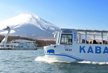 9人小团·富士双湖水陆巴士一日游丨可选酒店接送+中文服务【[双湖富士]河口湖大石公园观富士山全景，山中湖喂天鹅合影富士倒影！】