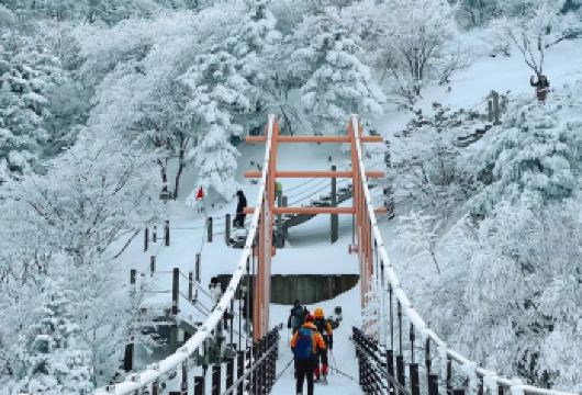 西南线C：追海豚+汉拿山+柱状节理带+狭才海水浴场【挟才海水浴场 白色沙滩由贝壳粉末构成，与蔚蓝海水形成鲜明对比。沙滩延伸至海中的Z字形小岛及灯塔构成】
