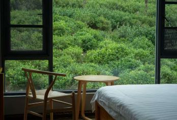 【武夷山桐木茶宿两天一晚】探秘月亮湾/青龙大瀑布/野猴谷【地处武夷山茶核心产区，是九曲溪的源头】