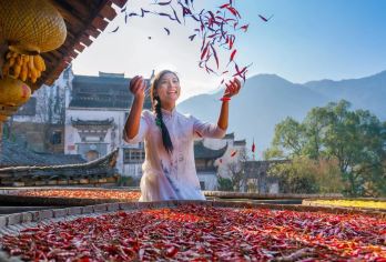 婺源篁岭+李坑一日游【可选6人小团/纯玩/精品/休闲好评多】【篁岭-晒秋人家梯田村落，李坑-小桥流水人家，梯田花海】