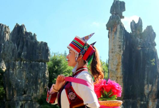 石林风景区+九乡纯玩一日游丨2路线可选择丨金牌讲解【[专属服务]金牌导游带队，当地权威一手地接，正规运营车辆、持证上岗司机，规范操作，您安心出游即可】