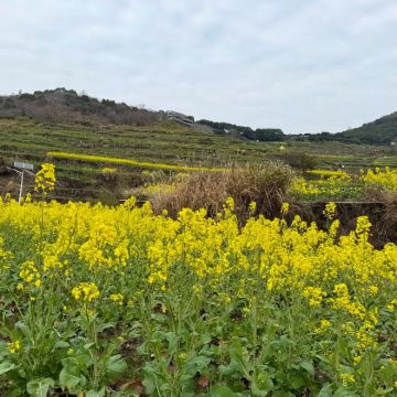 覆卮山景区+绍兴柯岩风景区包车游【绍兴出发】
