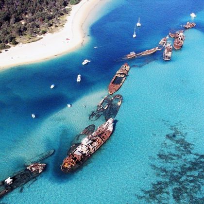 澳大利亚昆士兰布里斯班摩顿岛一日游