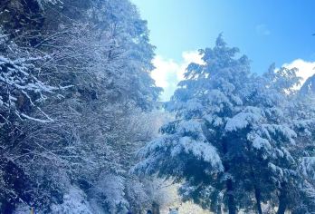 甲尔猛措一日游【雪景·冰瀑丨原始森林，瀑布溪流，治愈轻徒步】【[精选线路]原始森林徒步丨春日踏青丨夏日避暑丨冬日玩雪、秘境小众冰瀑全景打卡】
