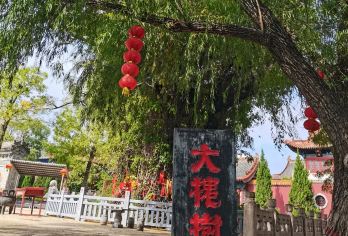 大槐树半日游【2-10人团+深度讲解】【无购物】