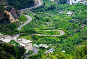 潮州凤凰山包车一日游｜打卡凤凰山+乌岽顶【[安全保障]全程本地车队接待，胶己人司导带您避坑】