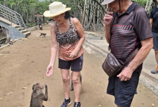 一日游 | 芹耶：探索猴岛和红树林 | 胡志明市出发【参观猴岛——这里是成千上万只自然生长、友好且非常热情的猴子栖息地】