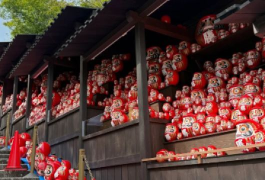 千与千寻动漫巡礼：大阪胜尾寺+爱宕念佛寺+岚山徒步一日游【千与千寻同款动漫巡礼】