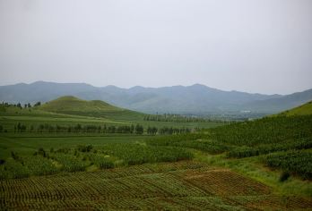 大同+悬空寺+大同土林一日游【2人独立小团大同市区免费接送】【2人独立小团，大同市内上门接送】