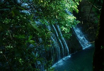 【恩施鹿院坪纯玩一日游】探秘恩施瑰宝，走进鹿院坪的迷人世界【纯玩无购物】