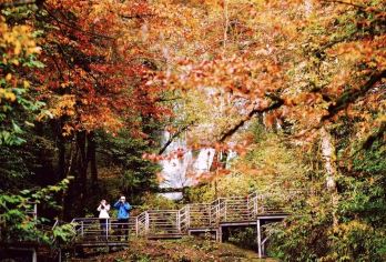 龙苍沟天生桥一日游【户外徒步·彩林红叶·溪流瀑布·森林氧吧】【[户外徒步]户外轻徒步，难度适中，拥抱自然】
