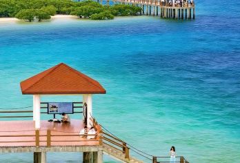 广东一日活动 | 你好，湛江【包车8小时】【一单一团一车一司机，专车接送。】