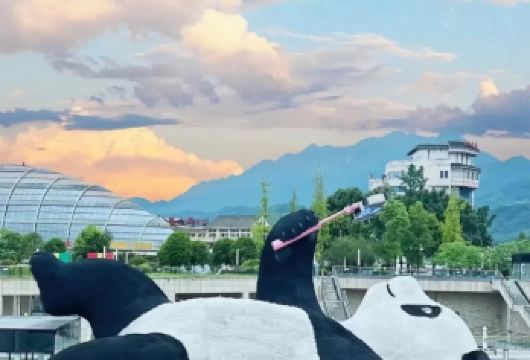 熊猫基地+成都博物馆+人民公园+鹤鸣茶社+宽窄巷子包车一日游【熊猫基地看萌兽，观成博，读懂天府千年事，打卡鹤鸣，解锁蜀闲，宽窄巷子品烟火】