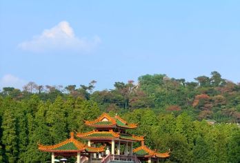 广州一日游：鼎湖山+丽谯楼+披云楼【私人接送 | 含/不含导游服务 | 含门票 一份安排得当的行程，让您高效利用时间，一天之内畅游肇庆必看景点。 体验广东*宁静的自然景点之一——鼎湖山的**风光。】
