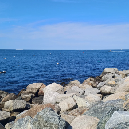 美国波士顿出发:Rockport艺术家小镇一日游