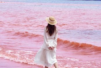 云南抚仙湖+禄充风景区+澄江广龙抚海湾一日游【纯玩无购物】【[精品纯玩]一价全含，贴心导游，纯玩无购物，无任何隐形消费】