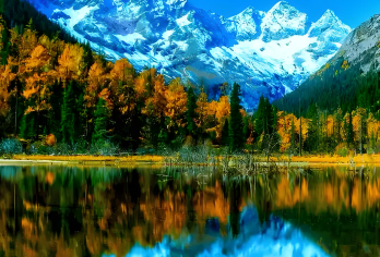 【彩林+雪山】毕棚沟景区一日游纯玩不进店｜含门票+可选头等舱【[秋冬必选]：距离成都3小时车程&金秋季彩林&巍峨雪山相应浸染，秋冬季节成都出发必选旅游线路】