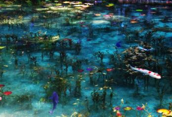 【名古屋起止】美浓古街+莫奈池塘+红叶地香岚溪一日游4-9人【[精品小包]全程商务/舒适用车，4-9人小包团，驾龄10年+老司机保驾护航，让您和家人的出行满满安全】