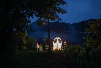 纳卡雨林夜观昆虫【走进昆虫世界，探索昆虫奥秘】