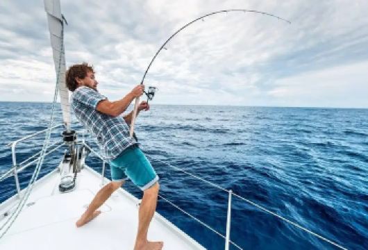 西南线A：海钓+看海豚+实弹射击挟才海水浴场小羊肖恩羊驼牧场【挟才海水浴场 白色沙滩由贝壳粉末构成，与蔚蓝海水形成鲜明对比。沙滩延伸至海中的Z字形小岛及灯塔构成】