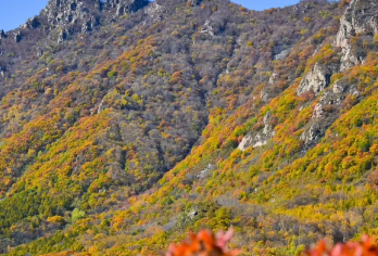 秋林铺百花山徒步1日【秋林铺-百草畔-百花山12公里穿越】【森林徒步系列】
