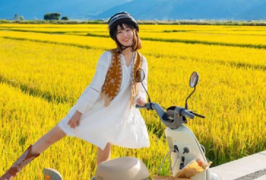 苍山+感通索道+喜洲+洱海游船+南诏风情岛一日游【上门接送】【[苾游景点]苍山、感通索道、洱海游船、喜洲精华景点一次游完，不留遗憾】