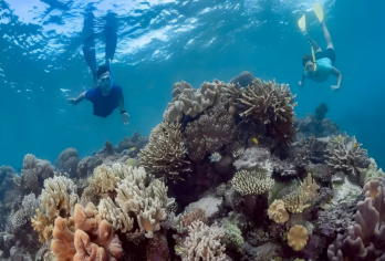 翡你摩属 - 凯恩斯太阳恋人号摩尔礁翡翠岛一日游套餐飞去船回【摩尔外堡礁+翡翠岛】