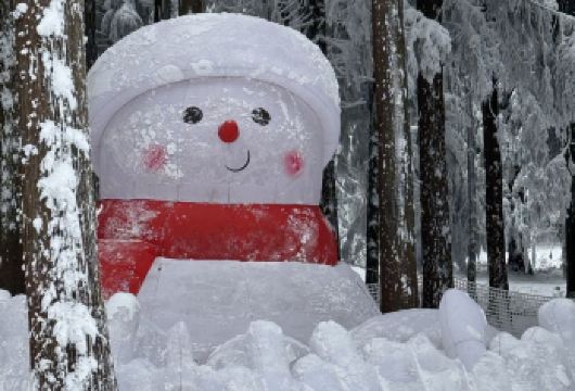 武隆·仙女山赏雪1日游【含景区门票+冬季玩雪+纯玩无购物】【我们特色：直达景区去网红波浪公路；冬季玩雪好去处！！】